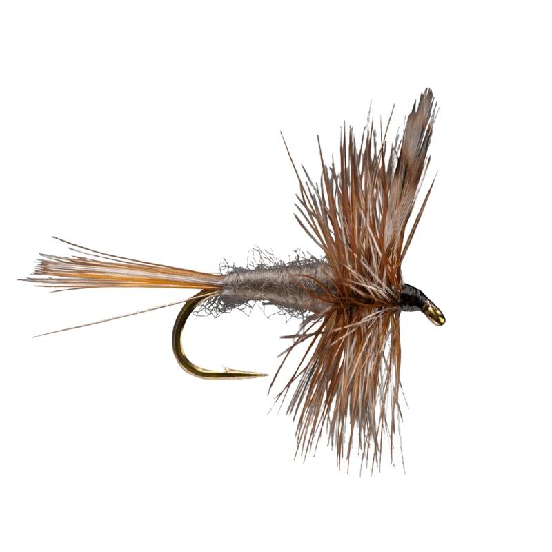 RIO Adams Fly (12 Count) 1 RIO Adams Fly (12 Count)