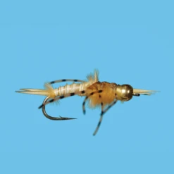 Solitude Tungsten Golden Stone Fly (12 Count)