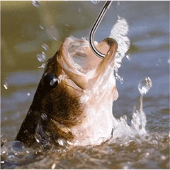 Hawkeye Marine Sonic Laser Scale SP -Fishing Gear Store 1307049 800 auto